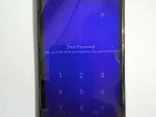 Vivo V11